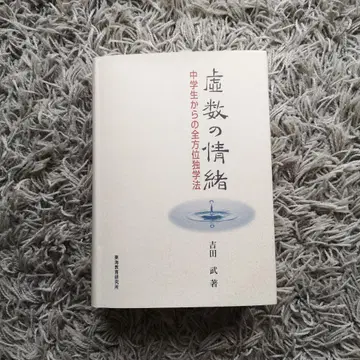 허수의 정서