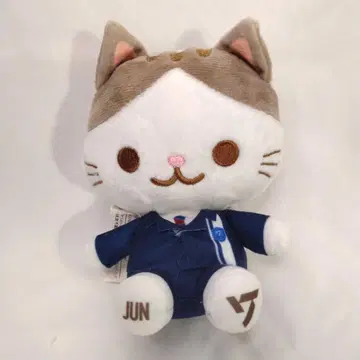 세븐틴 JUN 고양이 수트 봉제 인형 마스코트