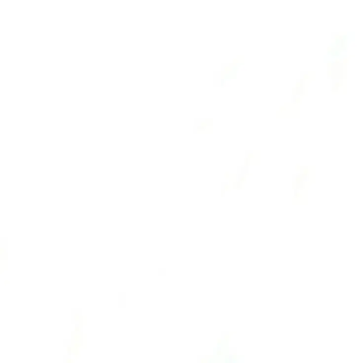 トップス bonnae Graphic open back slit top Ivory Graphic open back slit top (Ivory) - bonnae