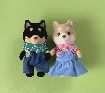 시바이누 가족