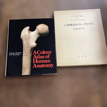 인체 해부 컬러 아틀라스