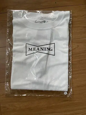 MEANING x wasted youth 티셔츠 L 사이즈