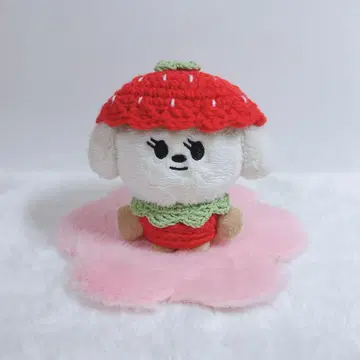 TXT 뿔바투 니트 딸기