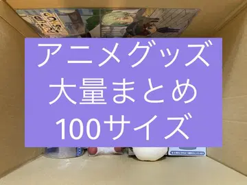 애니메이션 굿즈 비장르 잡화 대량 묶음 판매 100 사이즈 세트