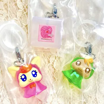 프리큐어 5 GOGO! 코코 너트 로즈 팩트 메지루시 액세서리