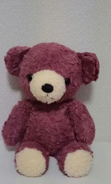 동심 곰의 폭신폭신 봉제 인형