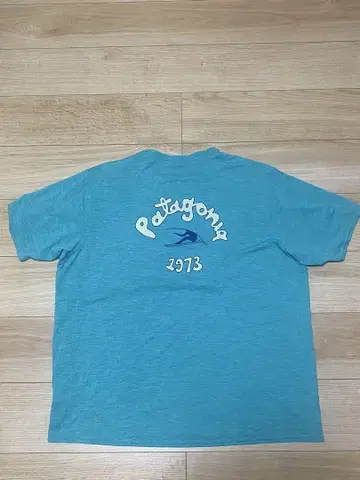 Patagonia 파타고니아 캐플린 쿨 데일리 그래픽 티셔츠