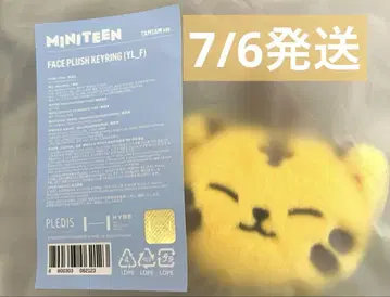 SEVENTEEN MINITEEN 키링 호시 키링