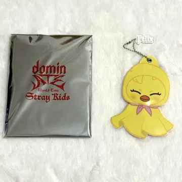 straykids 포가리 필릭스 키링