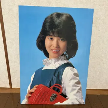 패널 포스터 마츠다 세이코