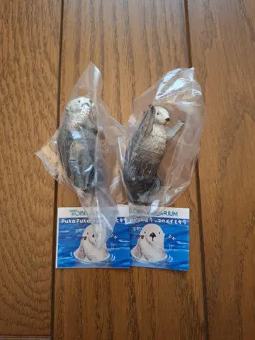 도바 수족관 PukaPuka 랏코의 메이랑 키라
