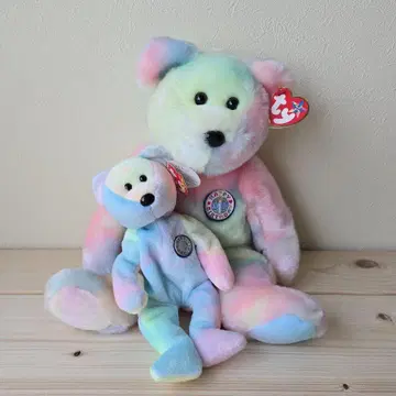 Ty Beanie Bear 레인보우 대소 2개 세트