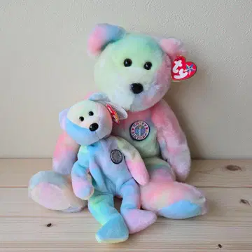 Ty Beanie Bear 레인보우 대소 2개 세트