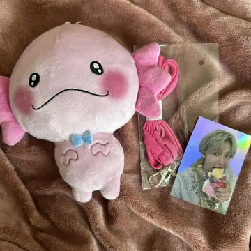 사토 다이키 우파고로 멘프로