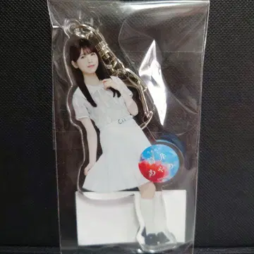 노기자카46 츠츠이 아야메 치트 데이 아크릴 키링