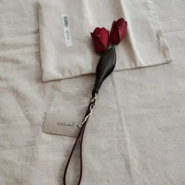 겐텐 참 튤립 아카