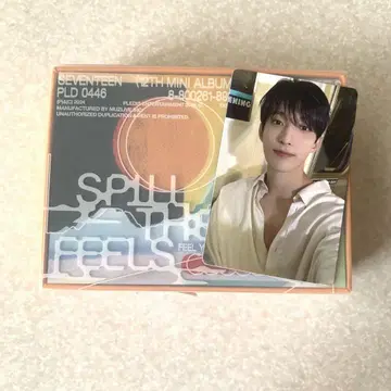 SEVENTEEN SPILL THE FEELS KIT 도겸