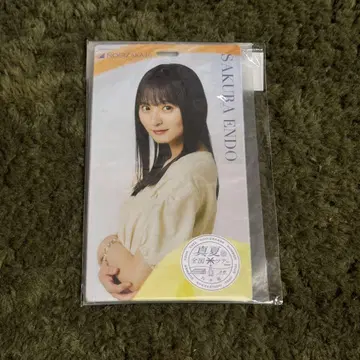 엔도 사쿠라 티켓 홀더 한여름의 전국 투어 2022