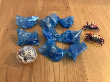 미라쿠수족관 외 바다 생물 가챠가챠 세트