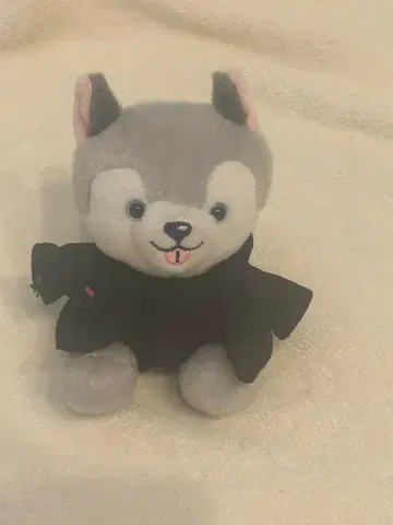 노킹 온 락 도어 노키 도어 앉은 봉제 인형 도리 개