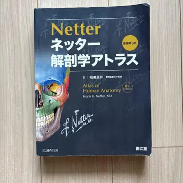 네터 해부학 아틀라스