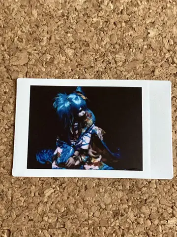 MASKED CAFE 아티스트 폴라로이드 레이무