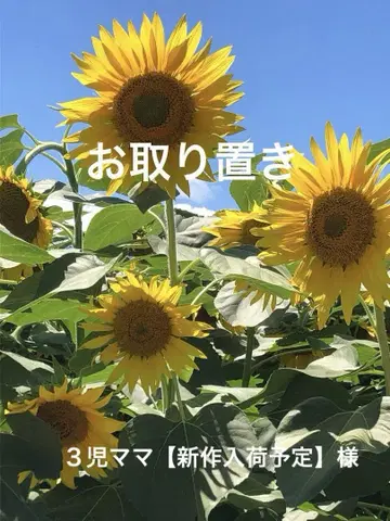 금붕어 참