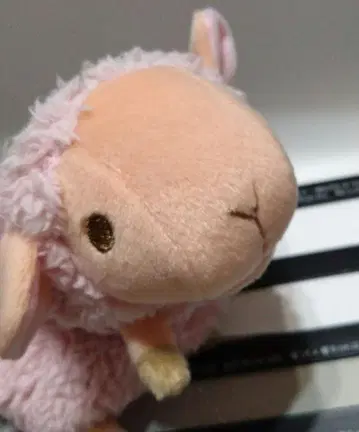 시나다 히츠지 펜 파우치