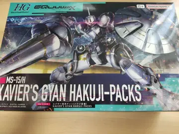 HG XAVIER'S GYAN    에그자베  하쿠지