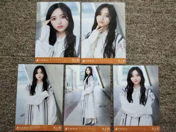 이노우에 카즈 네이블 오렌지 개별 브로마이드 5종 컴프