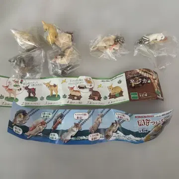 캡슐 컬렉션  새끼 사슴에 뛰어든 고양이