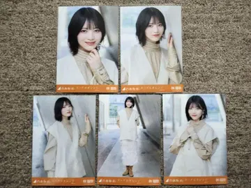 하야시 루나 네이블 오렌지 개별 브로마이드 5종 컴프