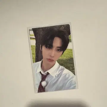 BOYNEXTDOOR 테산 M2U 트레이딩 카드