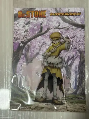 dr.stone 아크릴 스탠드 벚꽃 꽃놀이 사이엔지 깃털