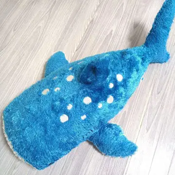 미라쿠수족관 파란 징베 상어 봉제 인형 약 60cm