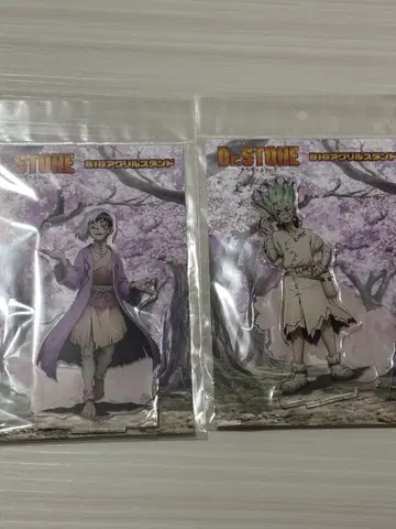 dr.stone 아크릴 스탠드 벚꽃 꽃놀이 이시가미 치쿠소 아사기리 겐