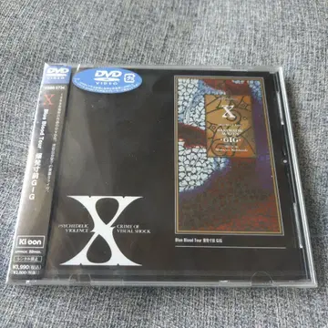 X JAPAN 블루 블러드 투어 폭발 직전 콘서트