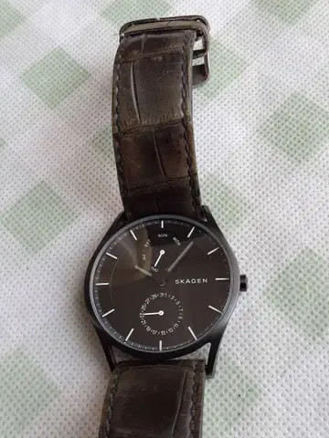 SKAGEN 손목시계 SKW6265 브라운 가죽
