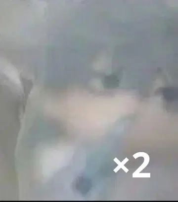 에이리언 스테이지 봉제 인형 불가사리 티르 에이스테 불가사리