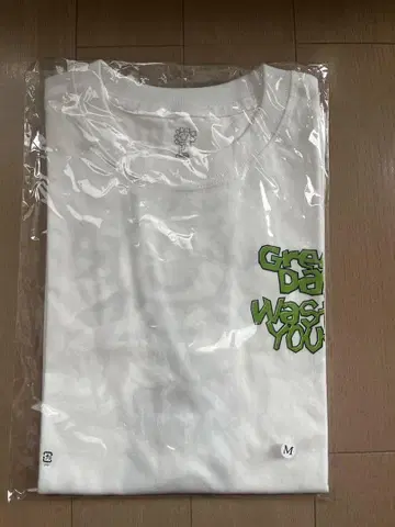 Green Day x VERDY Wasted Youth 티셔츠 (M)