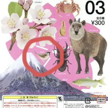 Nature of Japan 일본의 생물 03 참새 가챠가챠