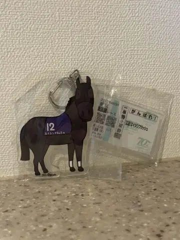 에이신 플래시 아크릴 키링