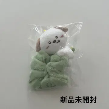 riize 앤톤 스크런치