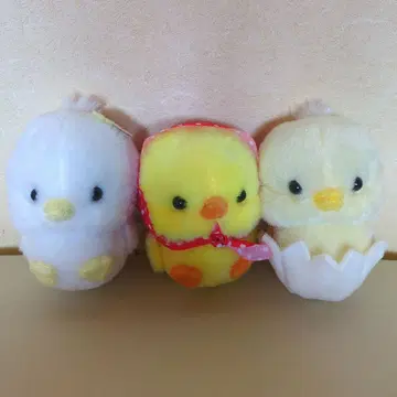 타마피요 피요초코 피요피 타마짱