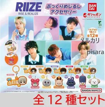 RIIZE 통통한 메지루시 액세서리 전 12종 컴플리트 가챠