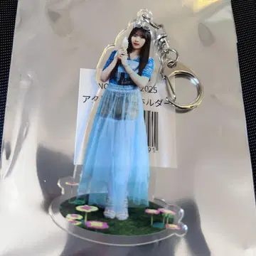 노기자카46 노기자카 카페 아크릴 키링 카와사키 벚꽃