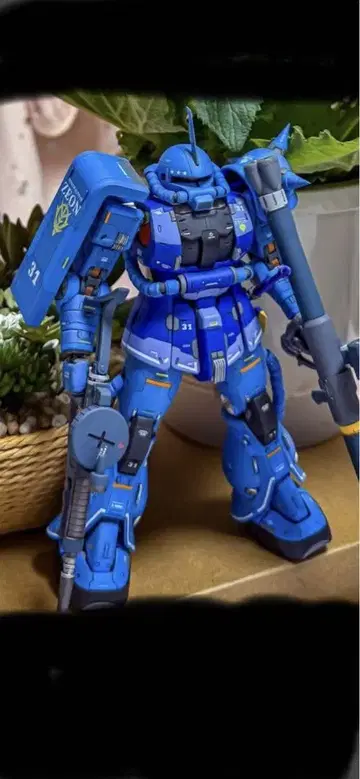 MG 1/100 자쿠 II