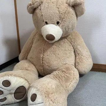 코스트코 큰 곰 봉제 인형