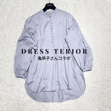 DRESS TERIOR 볼륨 슬리브 블라우스 버튼 셔츠 밴드 카라