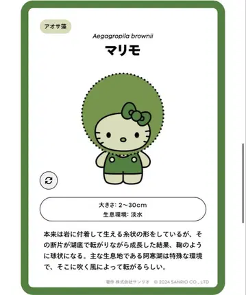 간사이 만박 일본관 한정판 모키티 핑 배치 EXPO2025